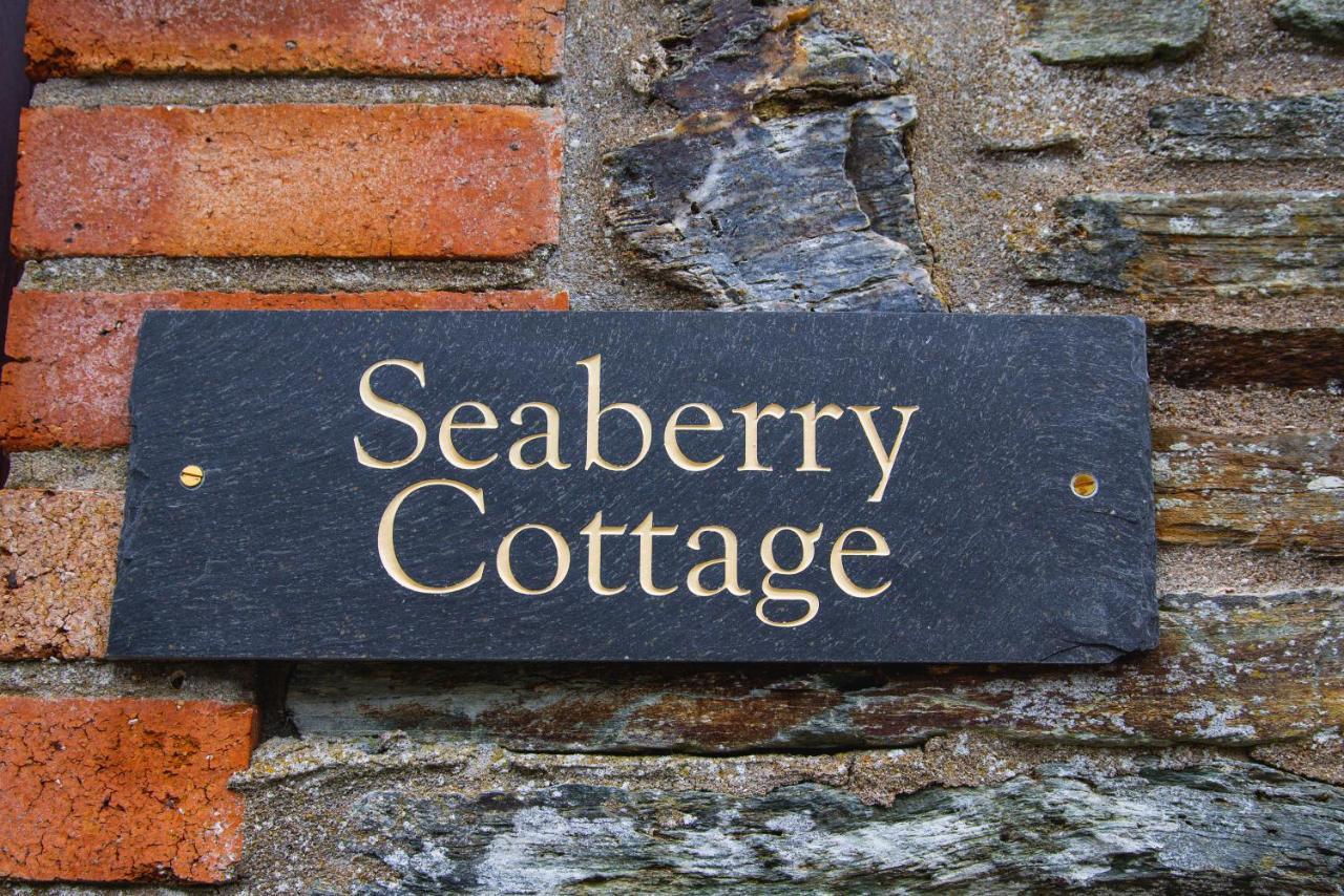 Polrunny Farm Seaberry With A Sea View And Log Burner Holiday home