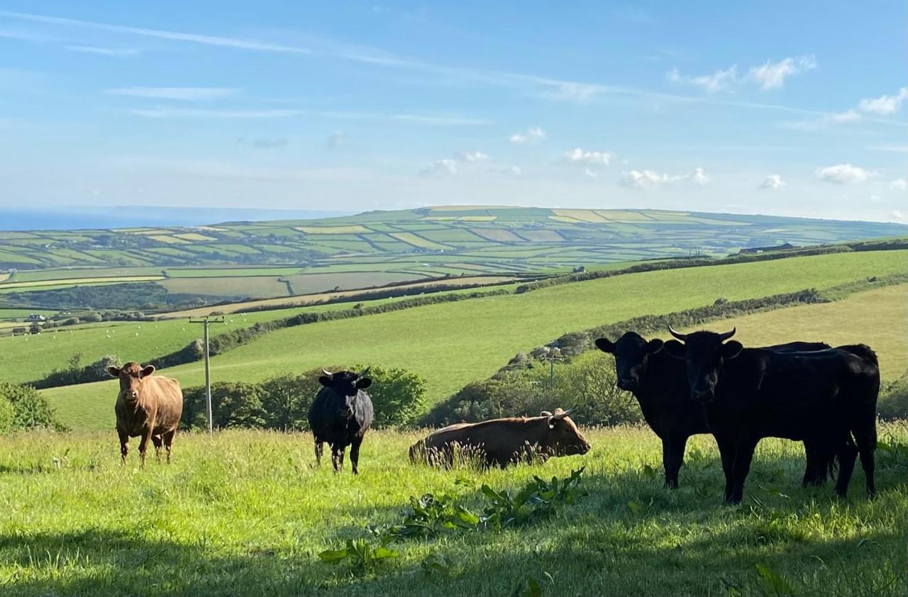 Polrunny Farm Seaberry With A Sea View And Log Burner Holiday home *