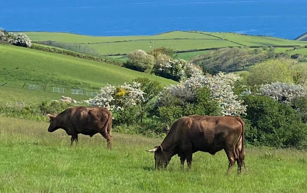 Polrunny Farm Seaberry With A Sea View And Log Burner *