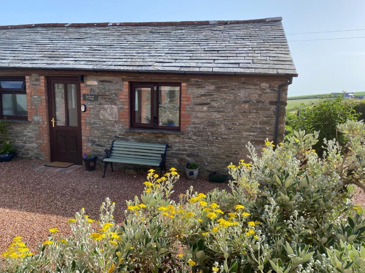 Polrunny Farm Seaberry With A Sea View And Log Burner Boscastle