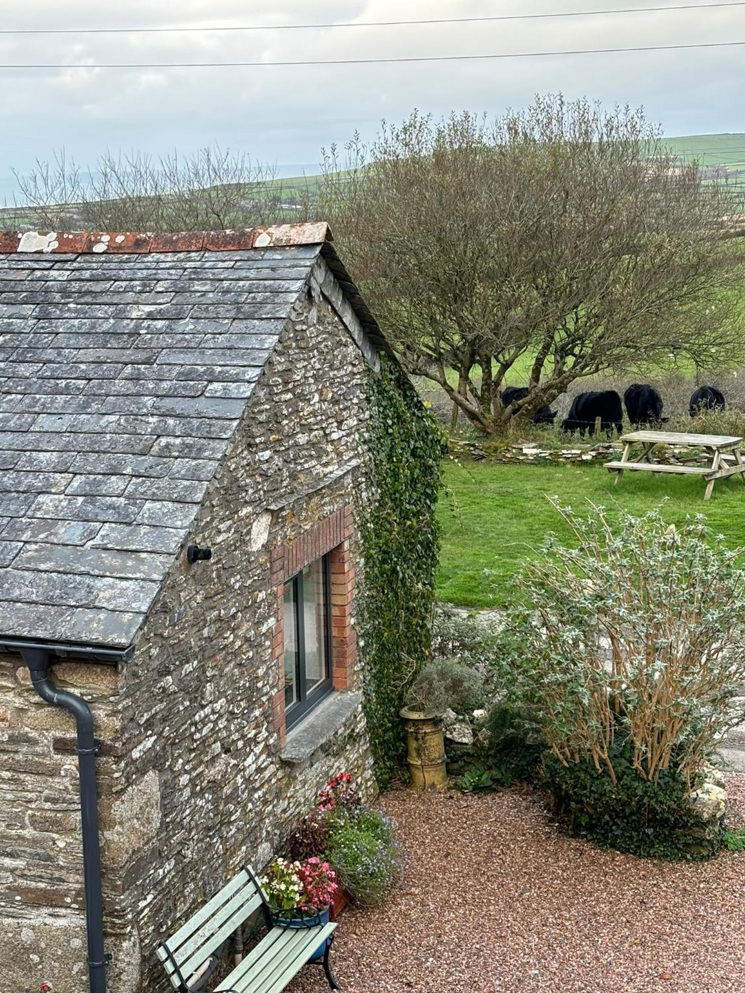 Polrunny Farm Seaberry With A Sea View And Log Burner Boscastle